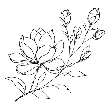 Beyaz arka planda yaprakları olan sürekli bir çizgi çiçeği. El çizimi çiçek illüstrasyonu