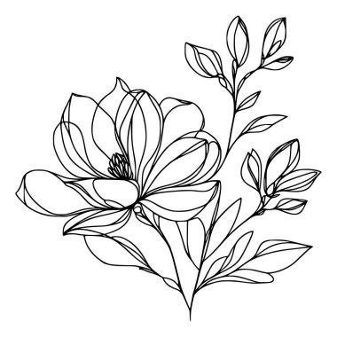 Beyaz arka planda yaprakları olan sürekli bir çizgi çiçeği. El çizimi çiçek illüstrasyonu