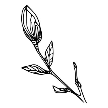 Beyaz arka planda yaprakları olan sürekli bir çizgi çiçeği. El çizimi çiçek illüstrasyonu