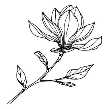 Beyaz arka planda yaprakları olan sürekli bir çizgi çiçeği. El çizimi çiçek illüstrasyonu