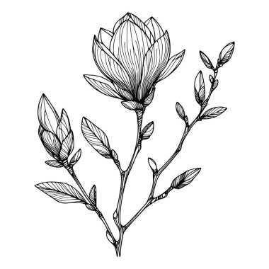 Beyaz arka planda yaprakları olan sürekli bir çizgi çiçeği. El çizimi çiçek illüstrasyonu