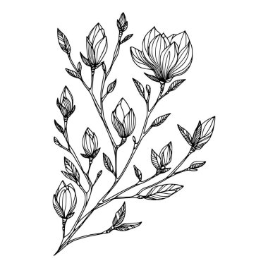 Beyaz arka planda yaprakları olan sürekli bir çizgi çiçeği. El çizimi çiçek illüstrasyonu