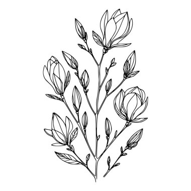 Beyaz arka planda yaprakları olan sürekli bir çizgi çiçeği. El çizimi çiçek illüstrasyonu