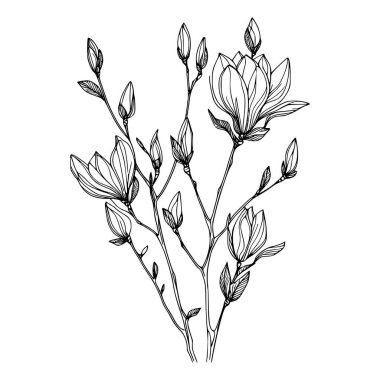 Beyaz arka planda yaprakları olan sürekli bir çizgi çiçeği. El çizimi çiçek illüstrasyonu