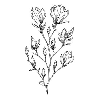 Beyaz arka planda yaprakları olan sürekli bir çizgi çiçeği. El çizimi çiçek illüstrasyonu