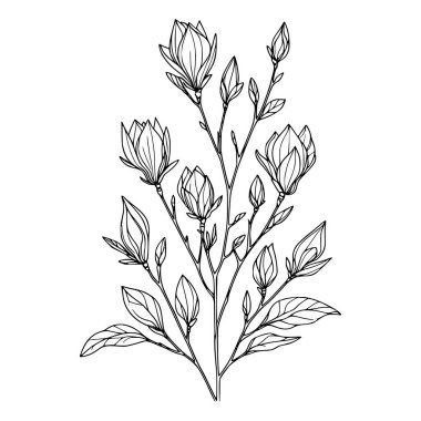 Beyaz arka planda yaprakları olan sürekli bir çizgi çiçeği. El çizimi çiçek illüstrasyonu