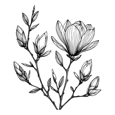 Beyaz arka planda yaprakları olan sürekli bir çizgi çiçeği. El çizimi çiçek illüstrasyonu