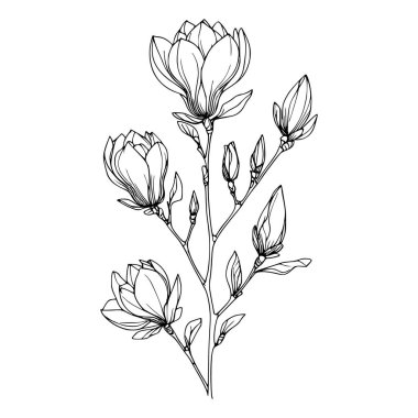 Beyaz arka planda yaprakları olan sürekli bir çizgi çiçeği. El çizimi çiçek illüstrasyonu