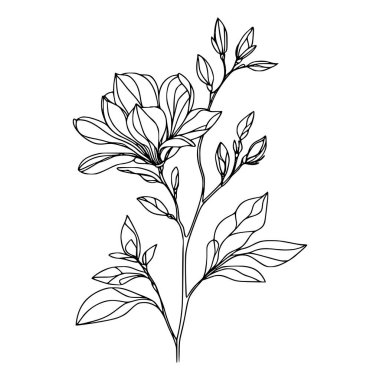 Beyaz arka planda yaprakları olan sürekli bir çizgi çiçeği. El çizimi çiçek illüstrasyonu
