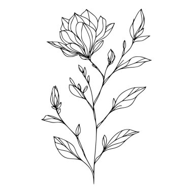 Beyaz arka planda yaprakları olan sürekli bir çizgi çiçeği. El çizimi çiçek illüstrasyonu