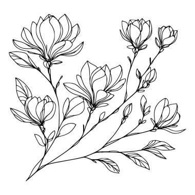 Beyaz arka planda yaprakları olan sürekli bir çizgi çiçeği. El çizimi çiçek illüstrasyonu