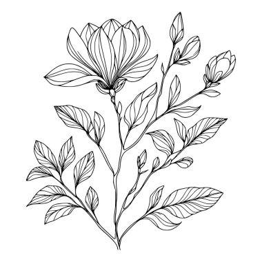Beyaz arka planda yaprakları olan sürekli bir çizgi çiçeği. El çizimi çiçek illüstrasyonu