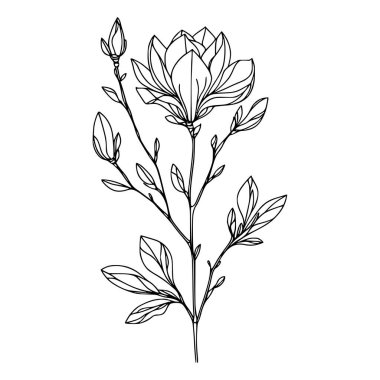 Beyaz arka planda yaprakları olan sürekli bir çizgi çiçeği. El çizimi çiçek illüstrasyonu