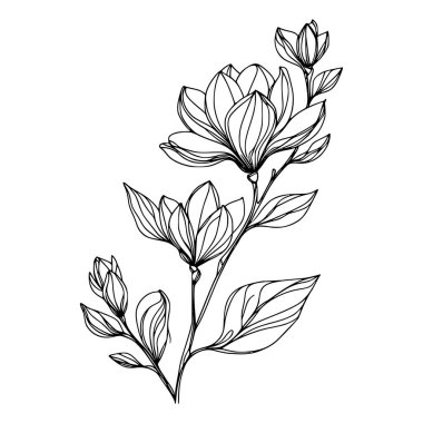 Beyaz arka planda yaprakları olan sürekli bir çizgi çiçeği. El çizimi çiçek illüstrasyonu