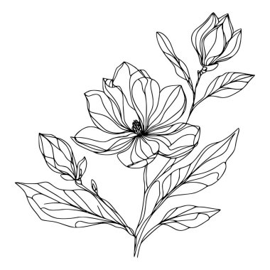 Beyaz arka planda yaprakları olan sürekli bir çizgi çiçeği. El çizimi çiçek illüstrasyonu
