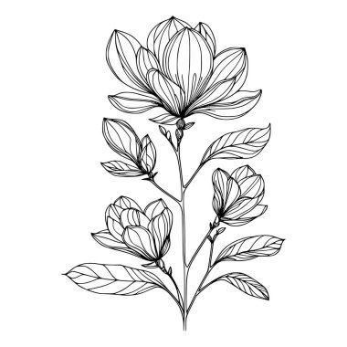 Beyaz arka planda yaprakları olan sürekli bir çizgi çiçeği. El çizimi çiçek illüstrasyonu