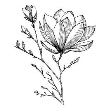 Beyaz arka planda yaprakları olan sürekli bir çizgi çiçeği. El çizimi çiçek illüstrasyonu