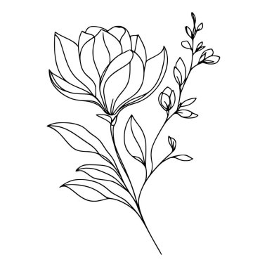 Beyaz arka planda yaprakları olan sürekli bir çizgi çiçeği. El çizimi çiçek illüstrasyonu