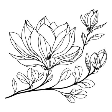 Beyaz arka planda yaprakları olan sürekli bir çizgi çiçeği. El çizimi çiçek illüstrasyonu