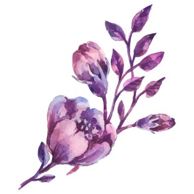 El Boyalı Suluboya Çiçek Vektörü İllüstrasyon Beyaz Arkaplan Çiçek Elementi