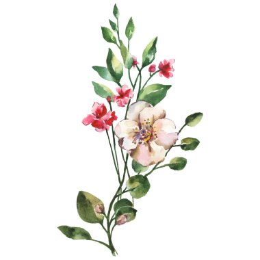 El Boyalı Suluboya Çiçek Vektörü İllüstrasyon Beyaz Arkaplan Çiçek Elementi