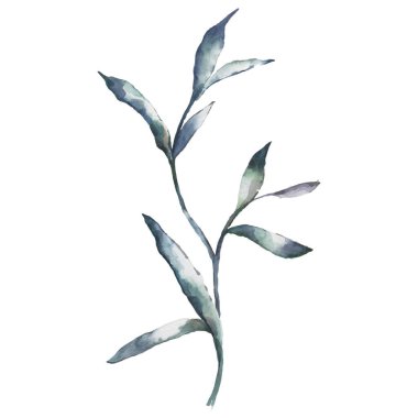 El Boyalı Suluboya Yapraklar Beyaz Arkaplanda Botanik Elementi