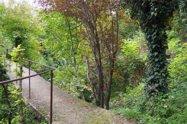 Banja Koviljacha, Sırbistan, Loznica, Guchevo Dağı. Metal çitli bir dağ nehri boyunca eski, dar beton bir köprü. Çalılıklar, sarmaşıklar, sarmaşıklar, köprünün etrafındaki ağaçlar. Doğada yürü