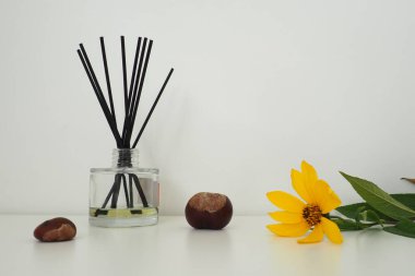 Aroma, cam küp vazoda gerekli yağları barındırır. Beyaz arka plan. Masanın üzerinde sarı Kudüs enginar çiçeği var. Durgun yaşam kompozisyonu. Uzayı kopyala Çiçek kokusu ve kış kestanesi kokusu.