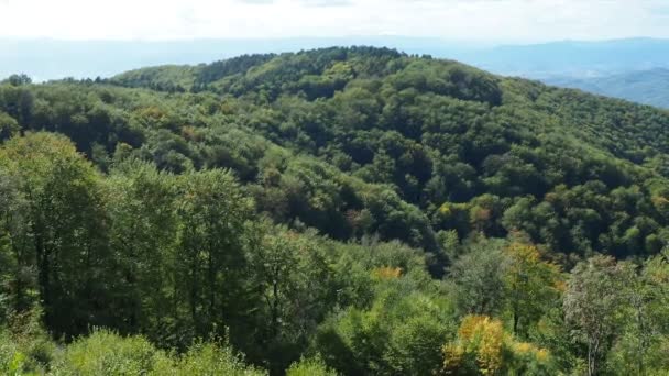 Guchevo 最高点Crni Vrhは 低いValjevsko Podrinje山に属しています ドリナ川 ボスニア ヘルツェゴビナをご覧ください セルビアからボスニアへの風景展望台 — ストック動画