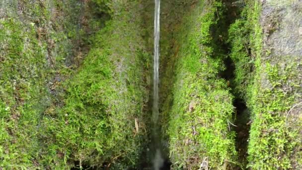 春の3つのソース Banja Koviljaca Service Guchevo Loznica Guchevo山から流れるミネラル天然水を癒します 苔と岩の上に地衣類 水が落ちる 4Kビデオ映像 — ストック動画