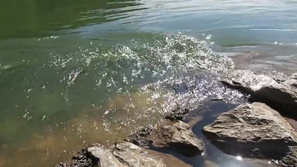 川の波は岩の多い海岸で会う 緑の深淵の水の渦 サングレア ズヴォルニク ボスニア ヘルツェゴビナ ドライナ川の銀行 スローモーション 水の動き — ストック動画