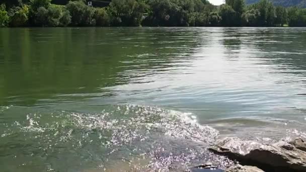 川の波は岩の多い海岸で会う 緑の深淵の水の渦 サングレア ズヴォルニク ボスニア ヘルツェゴビナ ドライナ川の銀行 スローモーション 水の動き — ストック動画