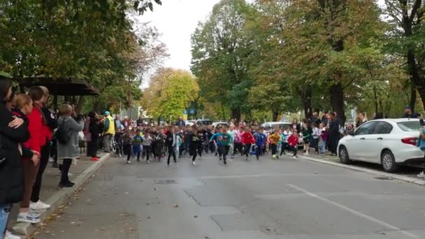 2022年11月4日 塞尔维亚斯莱姆斯卡米特罗维察 孩子们在跑步和田径方面的体育竞赛 很多孩子在跑步 8岁的种族男孩 父母和亲戚都在观看这场赛跑 开始吧 — 图库视频影像