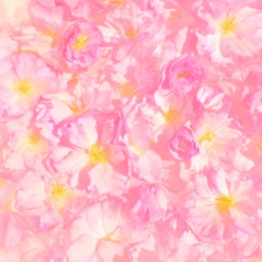 Pembe çiçekler kirazlı sakura arka plan. Çiçek duvarı çizimi. Yumuşak seçici odaklanma. Tatil kartpostalı. Pembe taç yaprakları ve sarı mamalar. Güzel arka plan. Bulanık sanat. Bahar kiraz çiçeği.