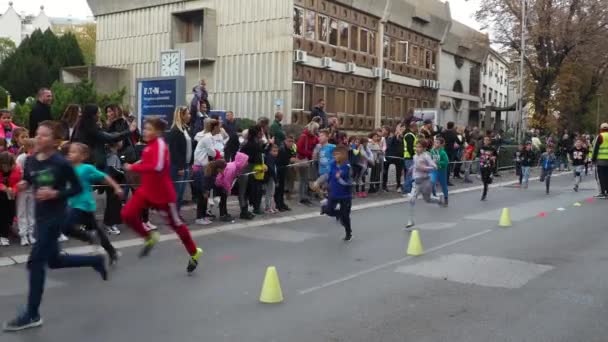 Сремска Митровица Сербия Ноября 2022 Года Детские Спортивные Соревнования Бегу — стоковое видео