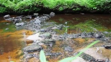 Rocky forest stream in Orzega, Karelia, with ferruginous brown clear water. Water runs and gurgles. slow motion. Reflections in the water and drops. Fern shores.