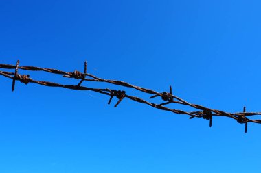 Dikenli tel, tel, dar metal şerit, üzerinde sivri dikenler var, bariyerler yapmak için kullanılır. Mavi gökyüzüne karşı paslı dikenli tel. Savaş konsepti, hak ve özgürlüklere kısıtlamalar