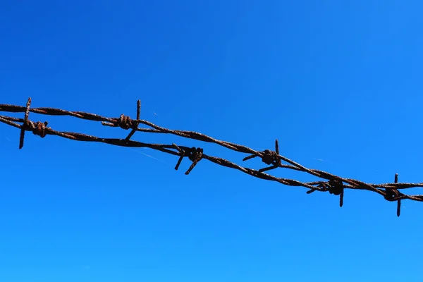 Barbed wire, wire, narrow strip of metal tape, with sharp spikes located on it, used to make barriers. Rusty barbed wire against the blue sky. The concept of war, restrictions on rights and freedoms