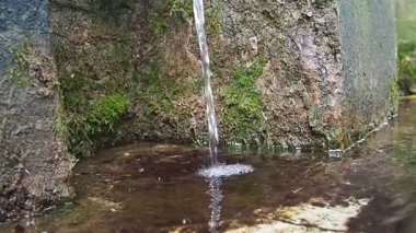 Banja Koviljaca, Sırbistan, Guchevo, Loznica. İlkbahar Üç kaynakları. Guchevo Dağı 'ndan akan maden suyu. Kayanın üzerinde yosun ve liken var. Su damlaları. Yavaş çekim
