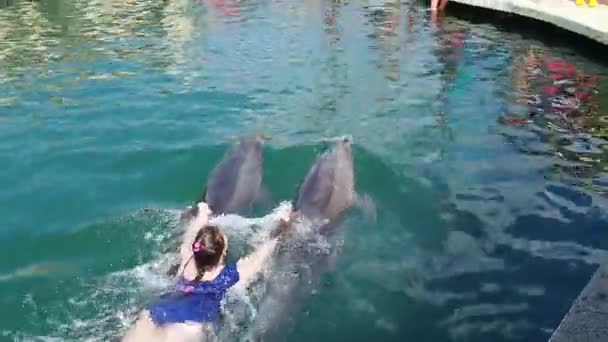 ロシアのアナパ2021年6月29日水の中で2匹のイルカと水泳のフィンに女の子がしがみついています イルカと人間の相互作用 大勢の人が立っている — ストック動画