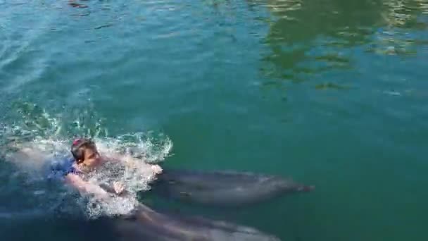 러시아 아나파 2021 소녀가 돌고래 마리의 지느러미를 속에서 헤엄치고 돌고래와 — 비디오