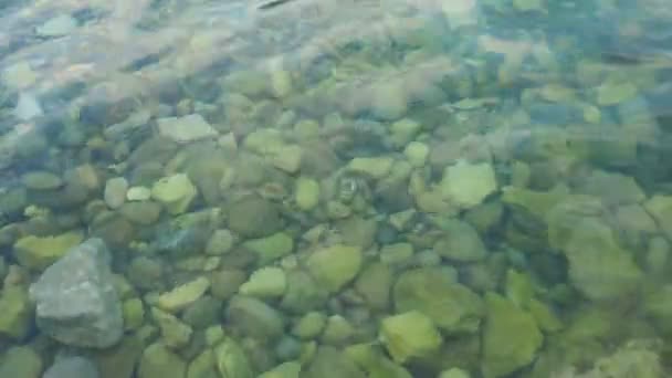 Yeşil Mavi Turkuaz Şeffaf Deniz Tuzlu Dokusu Yüzeyinin Üst Görüntüsü — Stok video