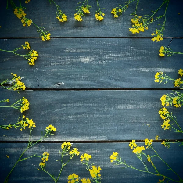 Yellow rapeseed flowers laid out in a circle on wooden background. Wildflowers are arranged neatly on the table. Copy space still life. Free space for text. Brassica napus Cabbageaceae. Wooden tray.