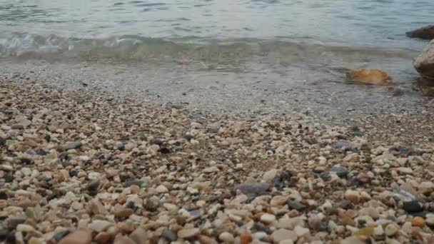 亚得里亚海 黑山地中海Meljine Herceg Novi 平静的咸咸的海水冲刷着岩石海岸 清澈的水和多彩的圆形卵石 旅游业务 海滩度假 多云啊 — 图库视频影像
