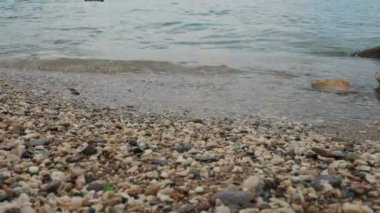 Adriyatik Denizi, Karadağ Akdeniz Meljine Herceg Novi. Sakin tuzlu su dalgaları kayalık kıyıları silip süpürüyor. Temiz su ve çok renkli yuvarlak çakıl taşları. Seyahat işi. Plaj tatili Bulutlu