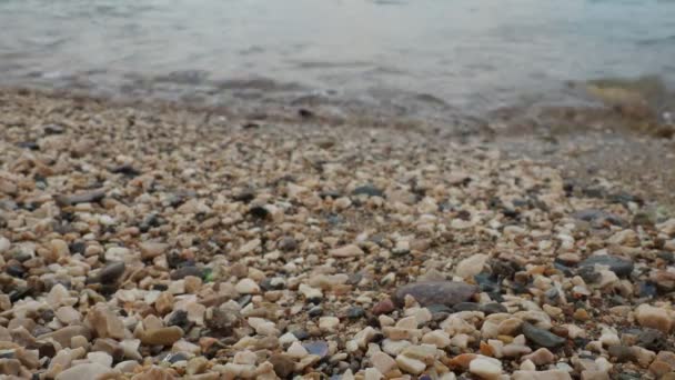 Mar Adriático Montenegro Mediterrâneo Meljine Herceg Novi Ondas Calmas Água — Vídeo de Stock