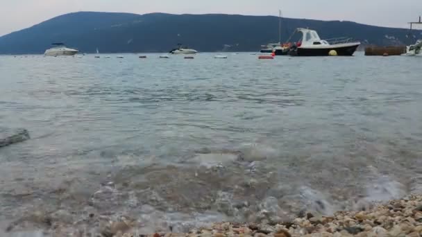 Herceg Novi Montenegro Серпня 2022 Морська Відпустка Морські Подорожі Риболовля — стокове відео