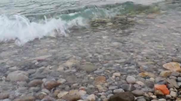 Mar Adriático Montenegro Mediterráneo Meljine Herceg Novi Olas Tranquilas Agua — Vídeos de Stock