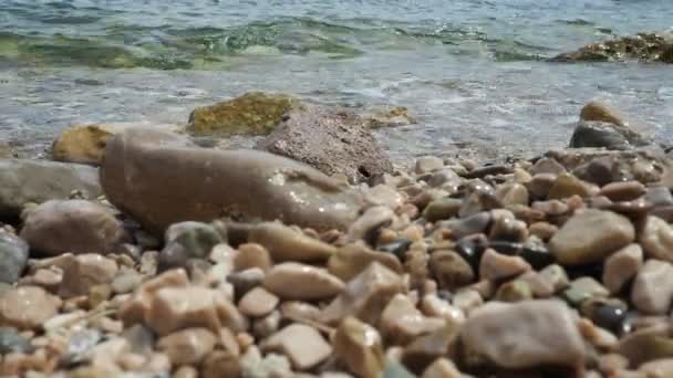 Mar Adriático Montenegro Mediterrâneo Ondas Calmas Água Salgada Salpicam Contra — Vídeo de Stock