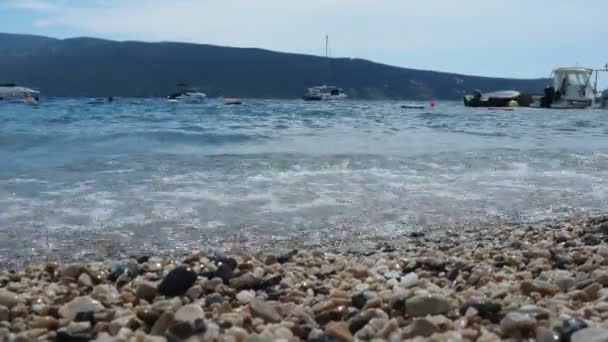 Herceg Novi Montenegro Agosto 2022 Vacaciones Playa Paseos Marítimos Pesca — Vídeo de stock